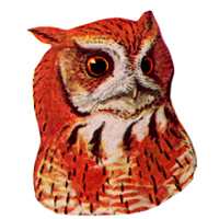 Visit the Eastern Screech Owl Species Page