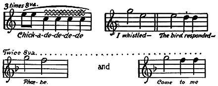 Black-capped chickadee song by F Schuyler Mathews Musical score of the black-capped chickadee song.