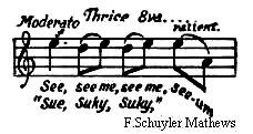 The brown creeper song written to sheet music.