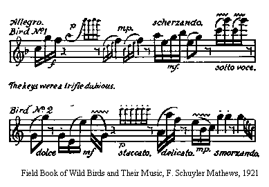 Song of the Catbird Catbird song transcribed to sheet music.