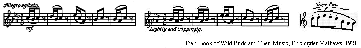Robin Song by F Schuyler Mathews Song of the robin written to sheet music.