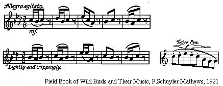 Robin Song by F Schuyler Mathews Song of the robin written to sheet music.
