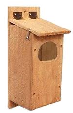 Barred Owl House Barred Owl House