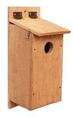 Visit the Red-headed Woodpecker Birdhouse Page
