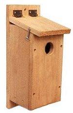 Visit the Mountain Bluebird Birdhouse Page.