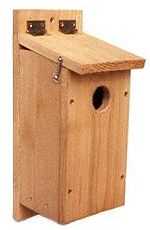 Visit the Red-headed Woodpecker Birdhouse Page