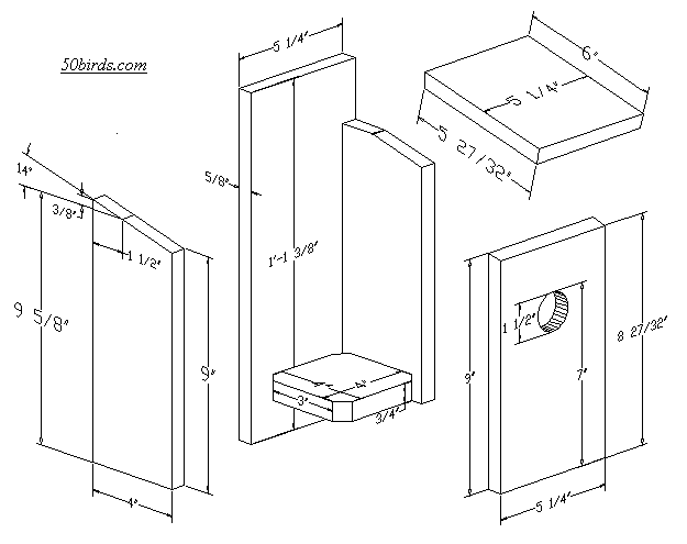 View or print Carolina wren birdhouse plans.
