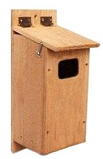 Visit the Common Goldeneye Nest Box Page.