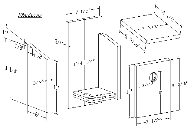 View or print great crested flycatcher birdhouse plans.