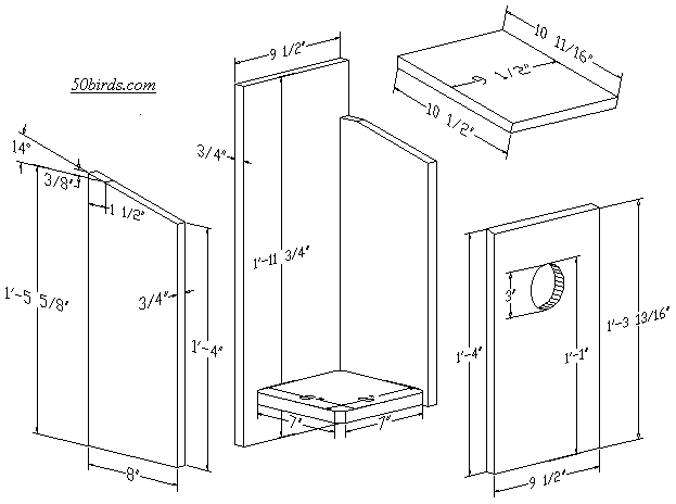 View and print birdhouse plans.