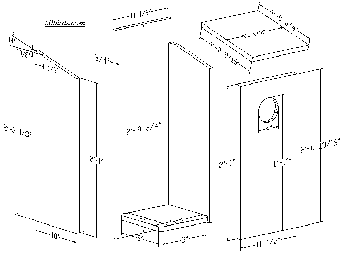 Select to view/print Pileated Woodpecker birdhouse plans.
