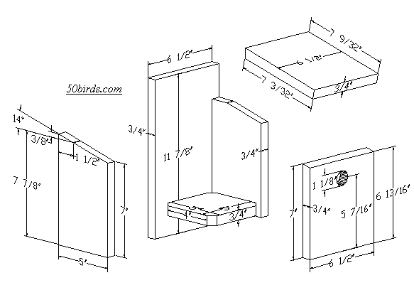 View or print prothonotary warbler birdhouse plans.