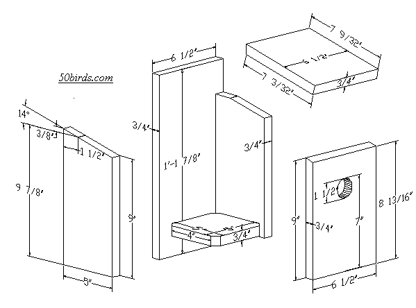 View or print tree and violet-green birdhouse plans.