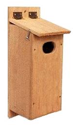Visit the Wood Duck Nest Box Page