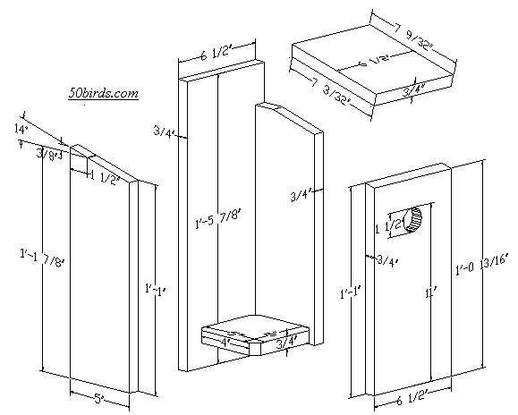 View and print yellow-bellied sapsucker birdhouse plans.