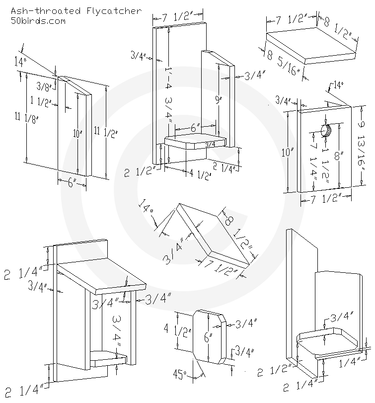 Ash-throated flycatcher birdhouse plans. Print a three dimensional design drawing with dimensions or just view on a portable device.