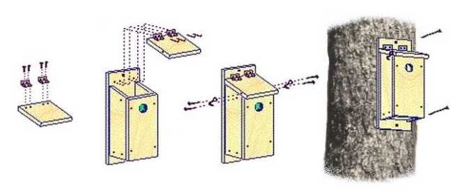 Nest Box Assembly Fasten hinges to roof and back panel with screws. Mount nest box with screws.