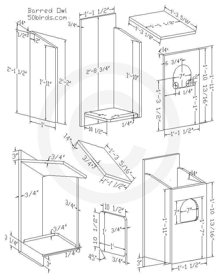 Print barred owl bird house plans or just view on a phone in your workspace. Three-dimensional drawing with dimensions.