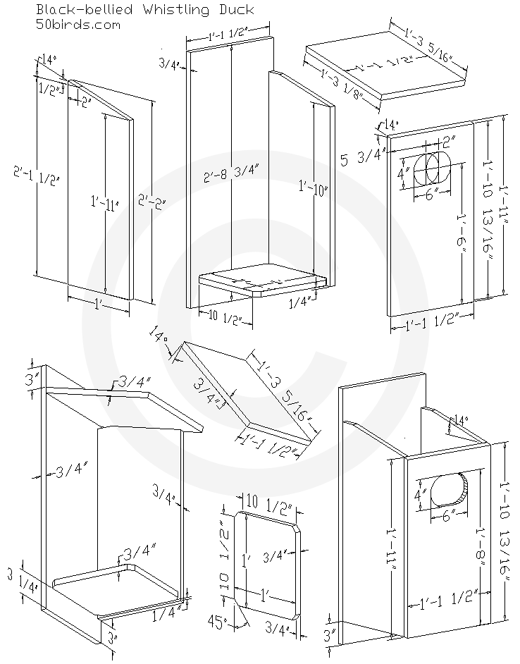 Print black-bellied whistling duck house plans or just view on a phone in your work space. Follow this three-dimensional drawing with dimensions and work safely.