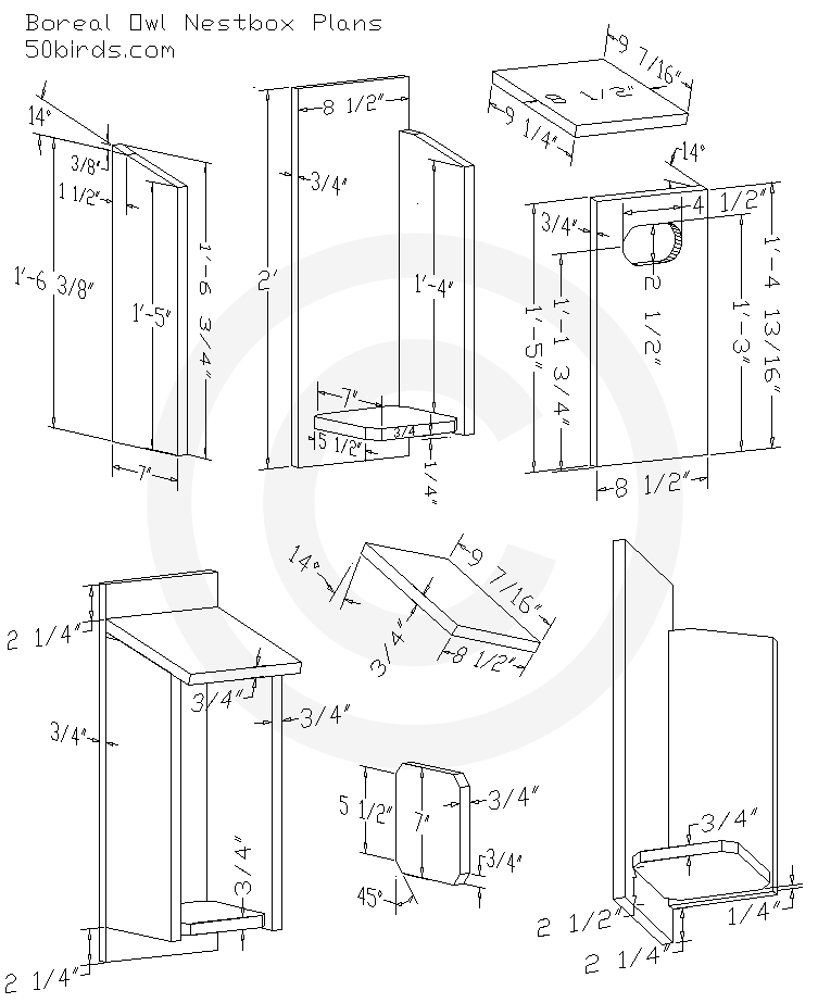 Print boreal owl birdhouse three-dimensional plans or just view on a phone in your workspace.