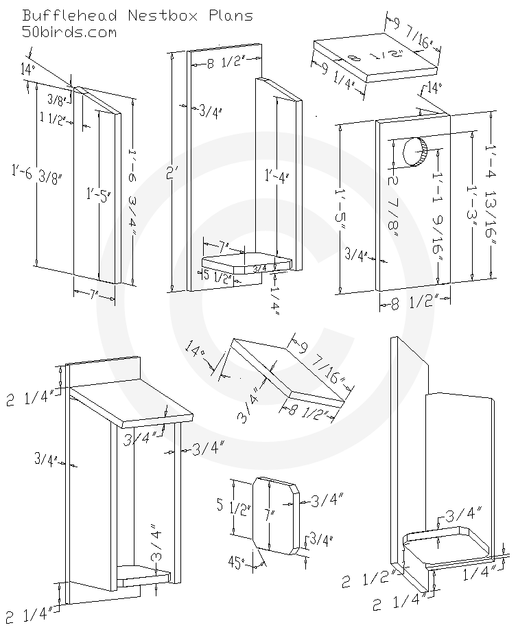Bufflehead nest box plans. Three-dimensional design drawings. Print or just view on a phone in your work space.