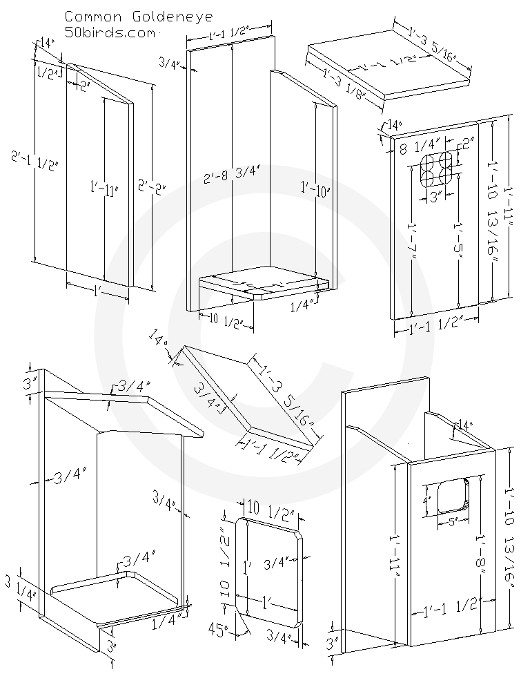 Common goldeneye nest box plans. Three dimensional design drawings with dimensions. Print or just view on a phone in your workspace.