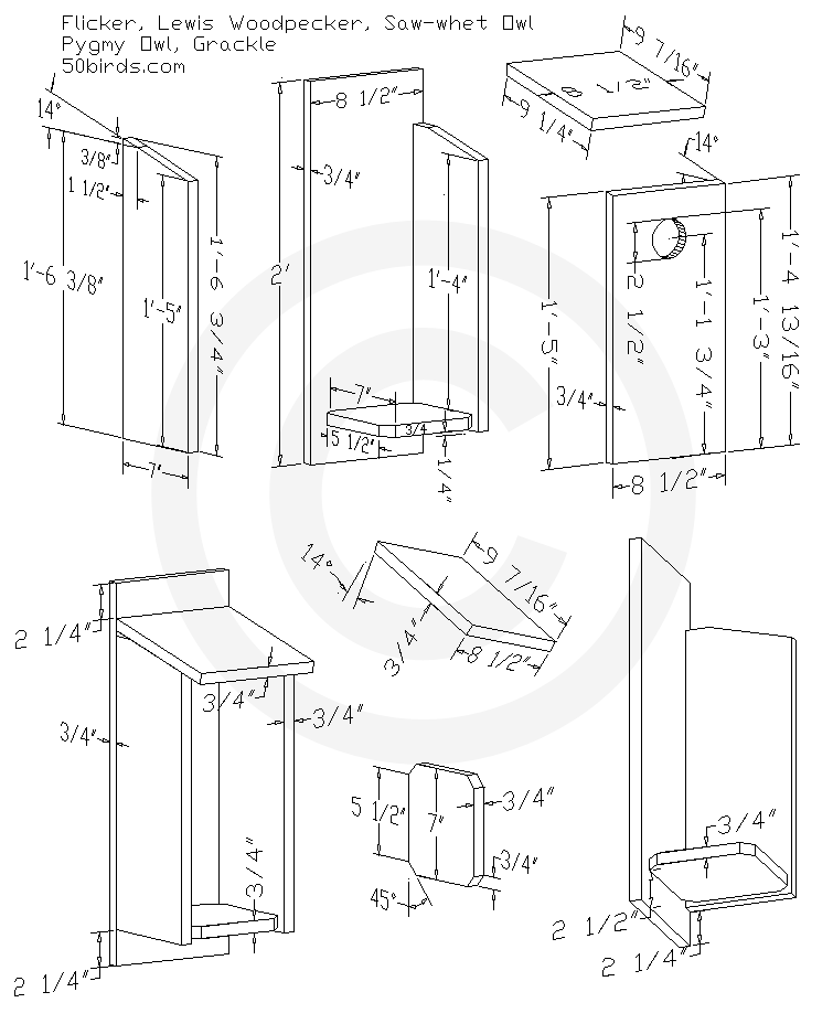 Owl woodpeckerbird house plans for flickers, lewis's woodpeckers, saw-whet owls and pygmy owls. Print design with dimensions and work safely.