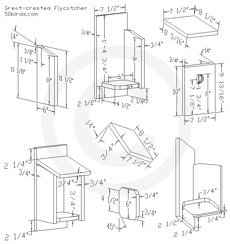 Great-crested flycatcher bird house plans. Print or just view on a mobile device.