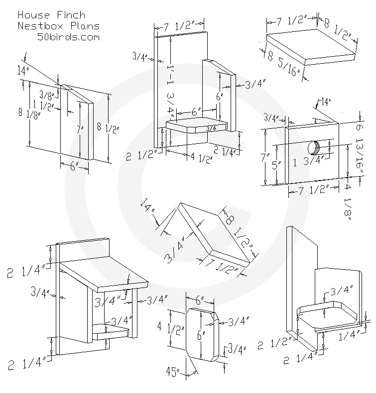 House Finch Bird House Plans House finch bird house design plans. Print or just view on a phone in your workspace and work safely.