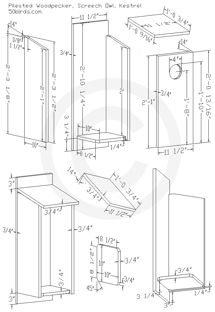 Pileated woodpecker bird house plans. Three dimensional design drawing. Print or just view on a phone in your workspace.