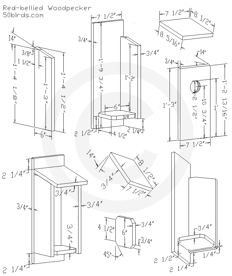 Red-bellied Woodpecker Bird House Plans Red-bellied woodpecker bird house plans. Print or just view on a phone in your workspace.