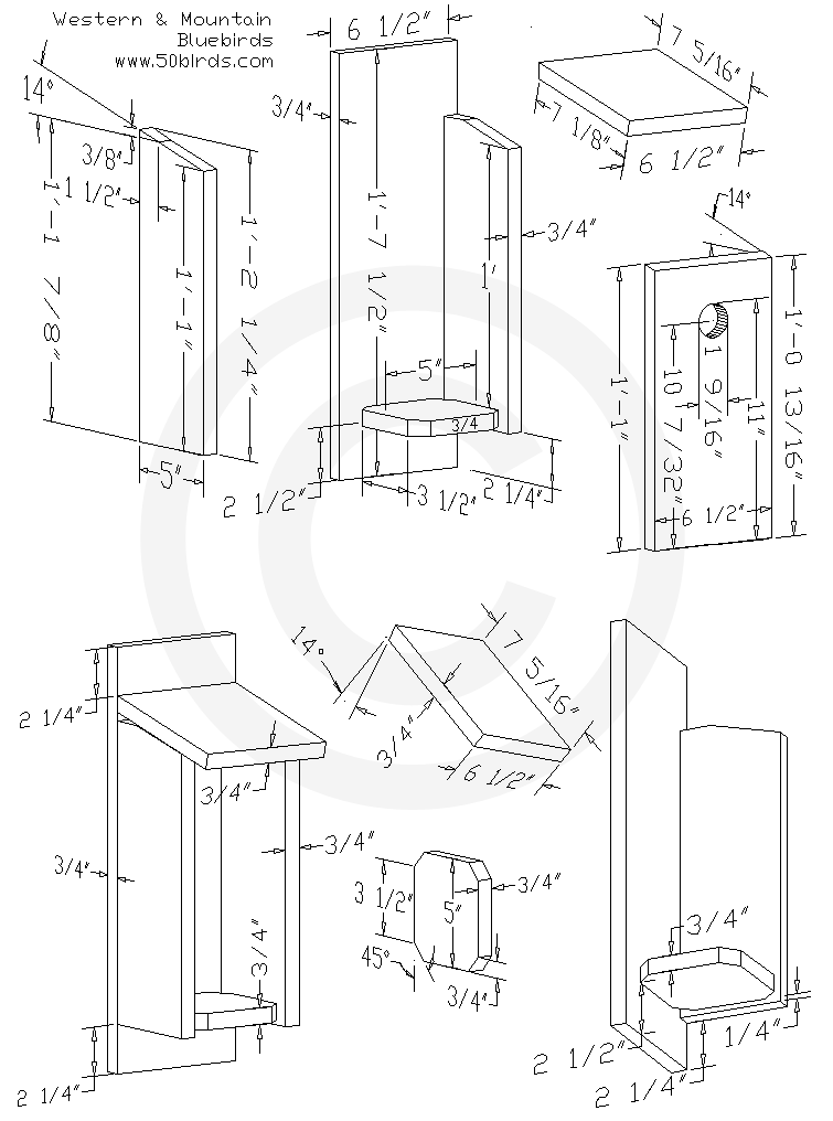 Western and Mountain Bluebird Nest Box Plans Print the bluebird nest box plans or just view in a mobile device in your work space.