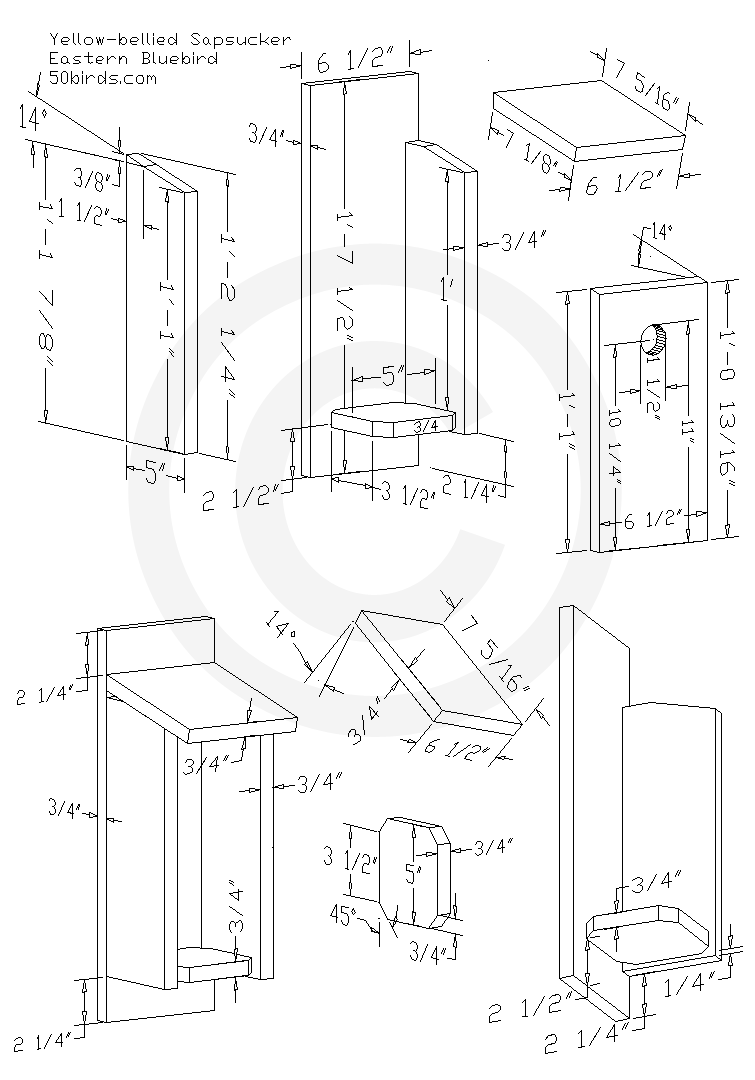 Yellow-bellied Sapsucker Birdhouse Plans Print yellow-bellied sapsucker birdhouse plans or just view on a phone in your work space.