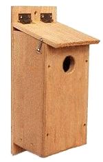 Visit the Bufflehead Nest Box Page.