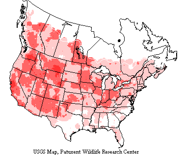 USGS Bird Breeding Survey Map