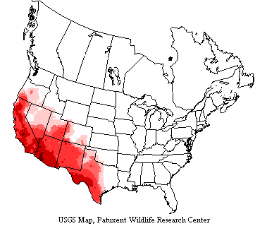 Ash-throated Flycatcher Nesting Range Ash-throated flycatchers inhabit the southwestern US from Texas west to the West Coast to Oregon
