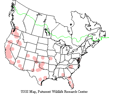 Barn owls range from British Columbia and Ontario to Central America and in the East as far north as Massachusetts.