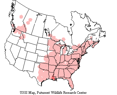 Barred owls inhabit eastern North America and as far west as British Columbia and Northwestern US.