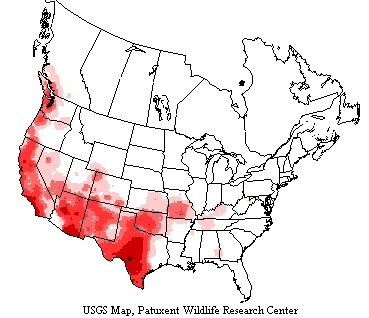 USGS map shows the breeding range of Bewick's wren on the West Coast and southern US.