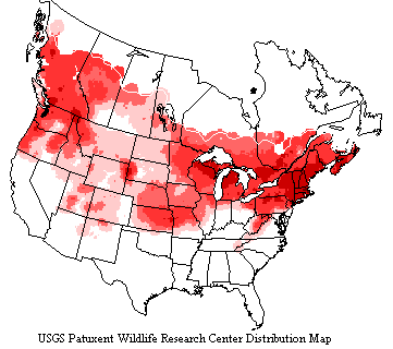 USGS Black-capped Chickadee Range Map Map shows black-capped chickadees range coast to coast in northern US and southern Canada