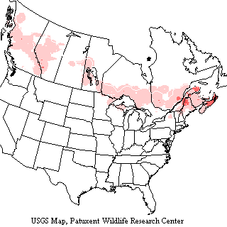 USGS Boreal Chickadee Breeding Survey Map USGS map shows boreal chickadees range across Canada from British Columbia to Nova Scotia and down to the New England States.