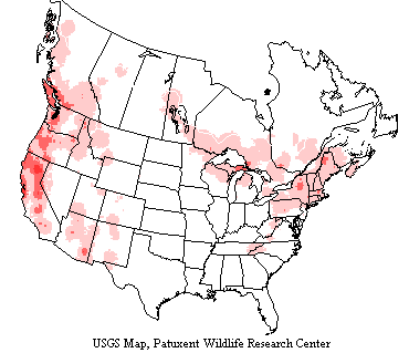 USGS map shows in the US and Canada, brown creepers range along the West Coast, Rocky Mountains and the Northeast.