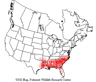 Brown-headed Nuthatch Range Map USGS range map shows brown-headed nuthatches live from New Jersey to Florida and west to eastern Texas and Oklahoma.