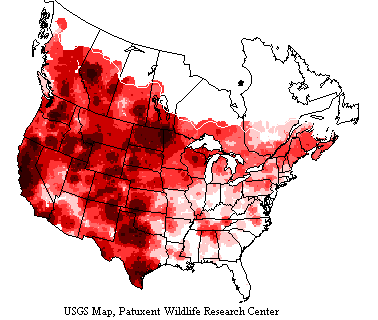 USGS Cliff Swallow Breeding Survey Map USGS map shows cliff swallows inhabit most of North America and winters in the tropics.