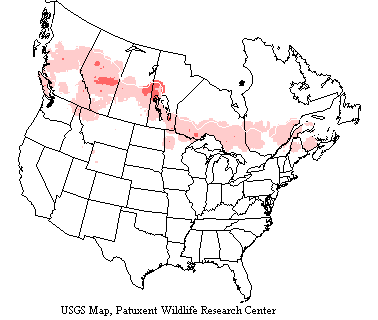 Common Goldeneye Range Map Common goldeneyes inhabit the northern regions throughout the Northern Hemisphere.