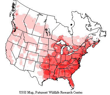 USGS range map shows downy woodpecker generally densely populated in the eastern half of US and Canada and more sparsely, yet widespread in western and northern parts.