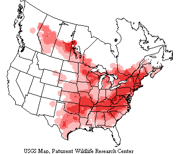USGS map shows eastern phoebes range in most of the US and Canada east of the Rocky Mountains.