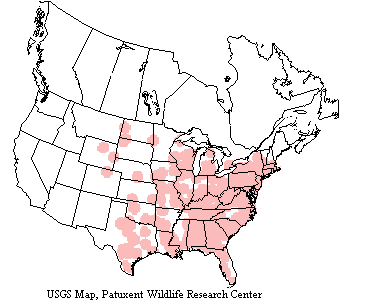 USGS Eastern Screech Owl Range Map USGS map shows eastern screech owls range in North America, from southern Canada to northwest Mexico and from the Great Plains to the East Coast.