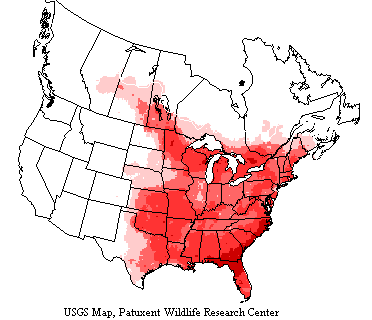 USGS Great-crested Flycatcher Breeding Range USGS map shows the great-crested flycatcher ranges east of the Rocky Mountains in the US and Canada to the East Coast.