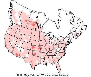 USGS Great Horned Owl Range Map Great horned owls inhabit Alaska and Canada, and throughout North and Central America, to the Straits of Magellan at the southern tip of South America.
